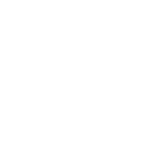 Profesjonalny serwis Skoda